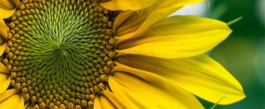 7 Ways to Get the Most Out of Counselling